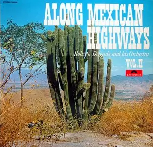 Roberto Delgado - Along Mexican Highways 2 