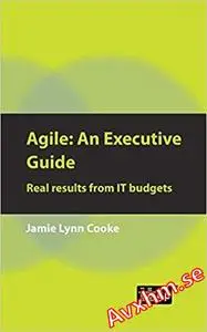 Agile: An Executive Guide