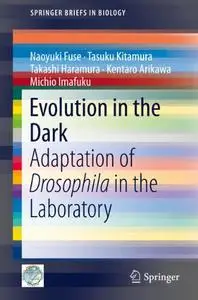 Evolution in the Dark: Adaptation of Drosophila in the Laboratory (Repost)