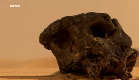 (Arte) Aux origines de l'humanité (1 sur 3) Les premiers pas (2010)
