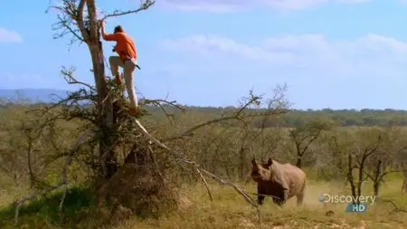 Discovery Channel - Austin Stevens Adventures: In the Shadow of Armoured Giants (2008)