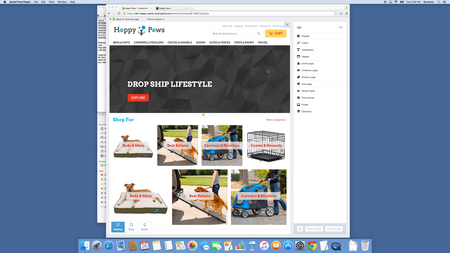 Anton Kraly – Dropship Lifestyle 5.0 (Basic Version)