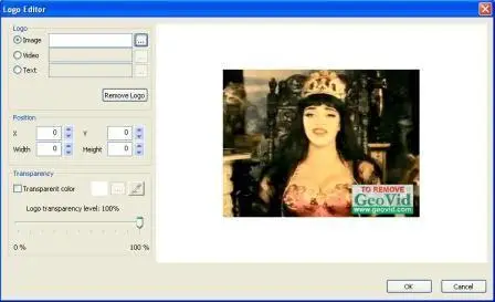 VidLogo v3.2