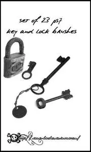 23 key and lock brushes