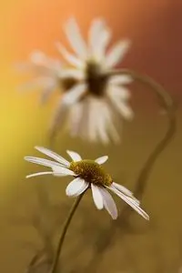 Фотограф Mycatherina Katka