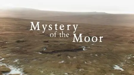 BBC - Mystery of the Moor (2014)