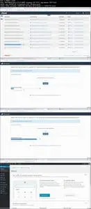 Wordpress Multilingual Site with one DB and one installation