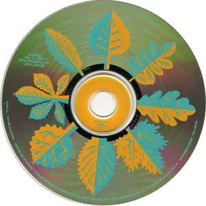 Jethro Tull - Roots To Branches (1995) [Repost]