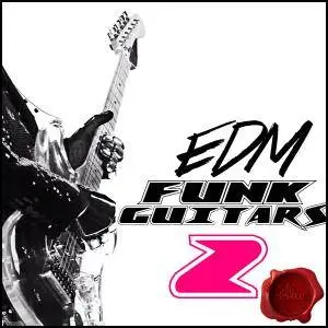 Fox Samples EDM Funk Guitars 2 WAV