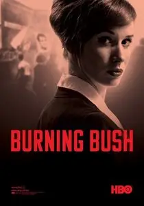 Burning Bush / Horící ker (2013)