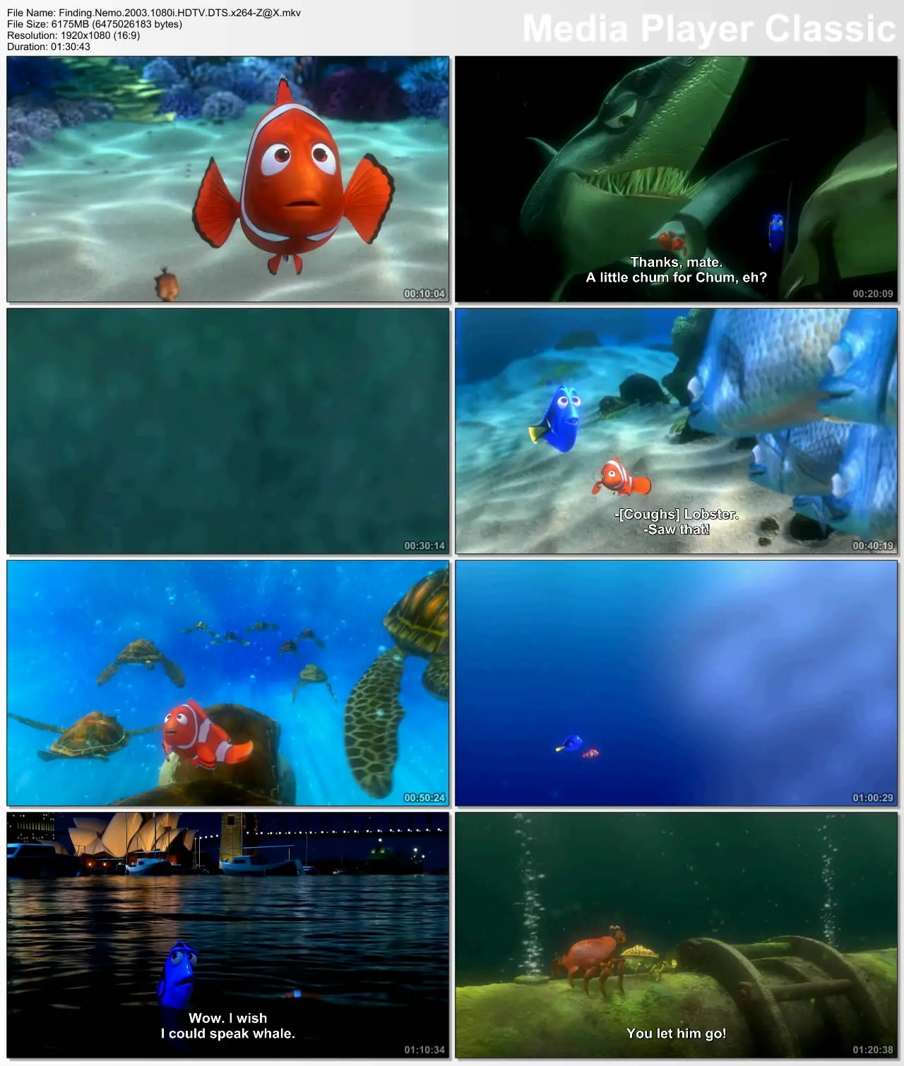 Finding nemo school dvdrip