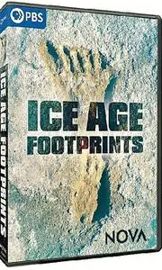 PBS - NOVA: Ice Age Footprints (2022)