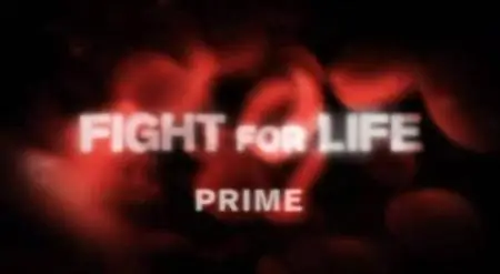 Fight For Life Part 4: Prime of life