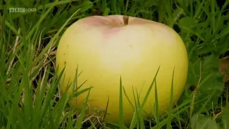 BBC - Apples: British to the Core (2011)