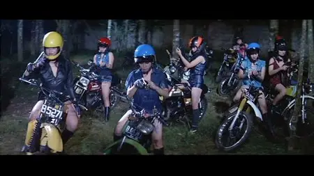 Maidens Revenge (1987) [Mondo Macabro] [Re-UP]