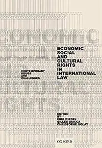 Economic, Social, and Cultural Rights in International Law: Contemporary Issues and Challenges