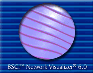 RouterSim BSCI Network Visualizer 6.0