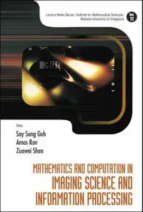 Mathematics and Computation in Imaging Science and Information Processing (Repost)