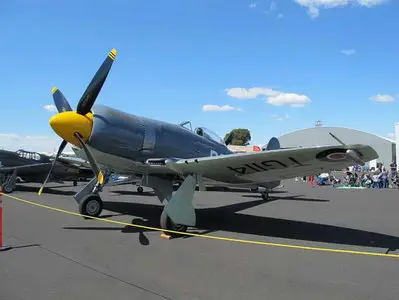 Hawker Sea Fury Mk.11 Walk Around