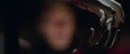In Fabric (2019)