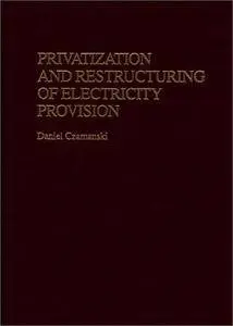 Privatization and Restructuring of Electricity Provision (Privatizing Government: An Interdisciplinary)(Repost)