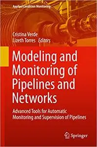 Modeling and Monitoring of Pipelines and Networks (Repost)