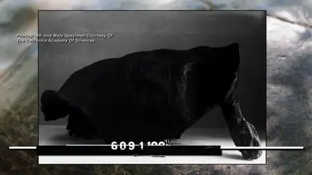 Extinct or Alive S02E01