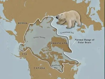 TTC Video - Earth at the Crossroads: Understanding the Ecology of a Changing Planet [Repost]
