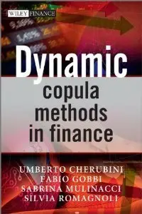Dynamic Copula Methods in Finance (The Wiley Finance Series)