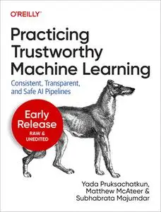 Practicing Trustworthy Machine Learning (Early Release)