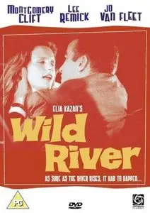 Wild River (1960)