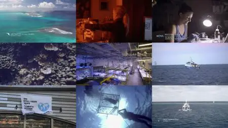 PBS NOVA - Reef Rescue (2021)
