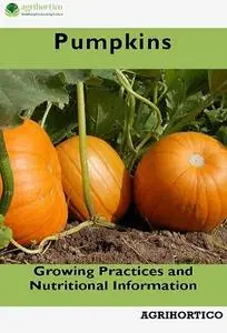 Pumpkin: Growing Practices and Nutritional Information