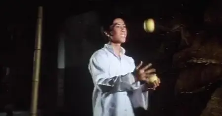 Drunken Tai Chi (1984)