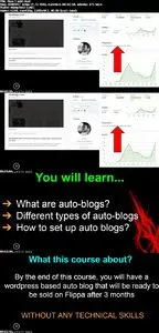 How I sold an Auto blog on Flippa for $500 with no Revenues