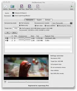 DVDRemaster 6.0
