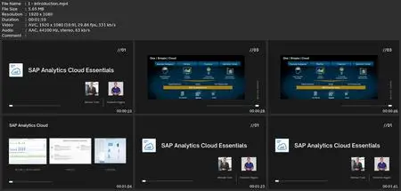 The Complete Sap Analytics Cloud Course