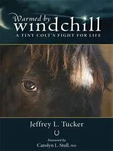 Warmed by Windchill: A Tiny Colt’s Fight for Life