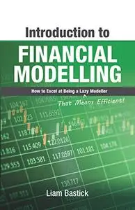 Introduction To Financial Modelling: How to Excel at Being a Lazy