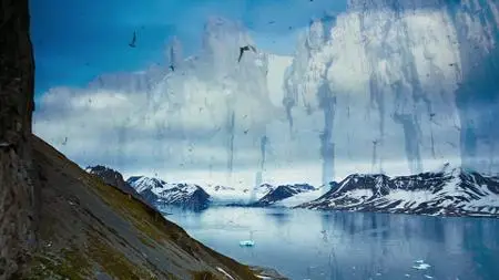 To the Arctic (2012)