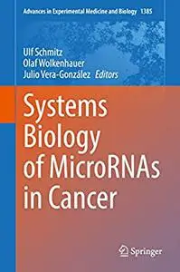 Systems Biology of MicroRNAs in Cancer