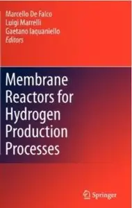 Membrane Reactors for Hydrogen Production Processes [Repost]