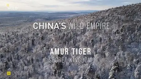 Amur Tiger: Secret Kingdom - National Geographic