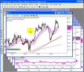 Raghee Horner Forex trader Package [repost]