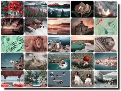 Webshots August 2011 Premium Collection