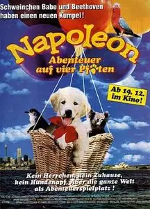 Napoleon (1995)