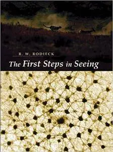 The First Steps in Seeing