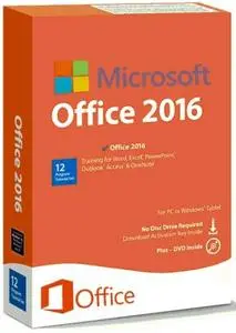 Microsoft Office 2016 Pro Plus VL v.16.0.5110.1001 (x86/x64) January 2021