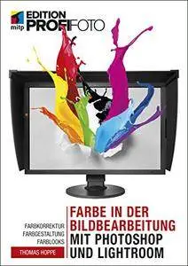 Farbe in der Bildbearbeitung mit Photoshop und Lightroom: Farbkorrektur, Farbgestaltung, Farblooks (mitp Edition ProfiFoto)