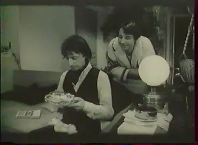 Les Matous sont romantiques (1981) [Re-UP]